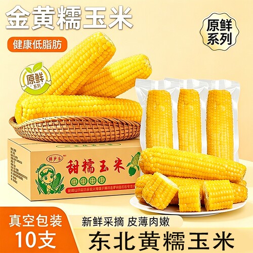 黄糯玉米新鲜采玉米软糯香甜东北苞米主食早餐代餐低脂饱腹真空装