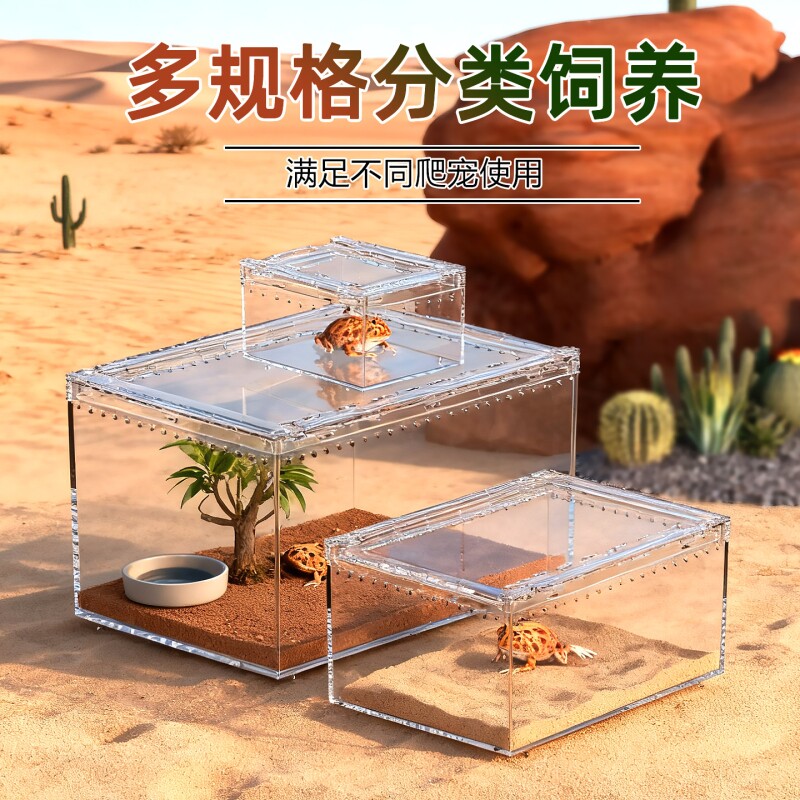 角蛙高透爬宠饲养箱亚克力睫角守宫蜥蜴蜘蛛寄居蟹沙漠造景饲养盒