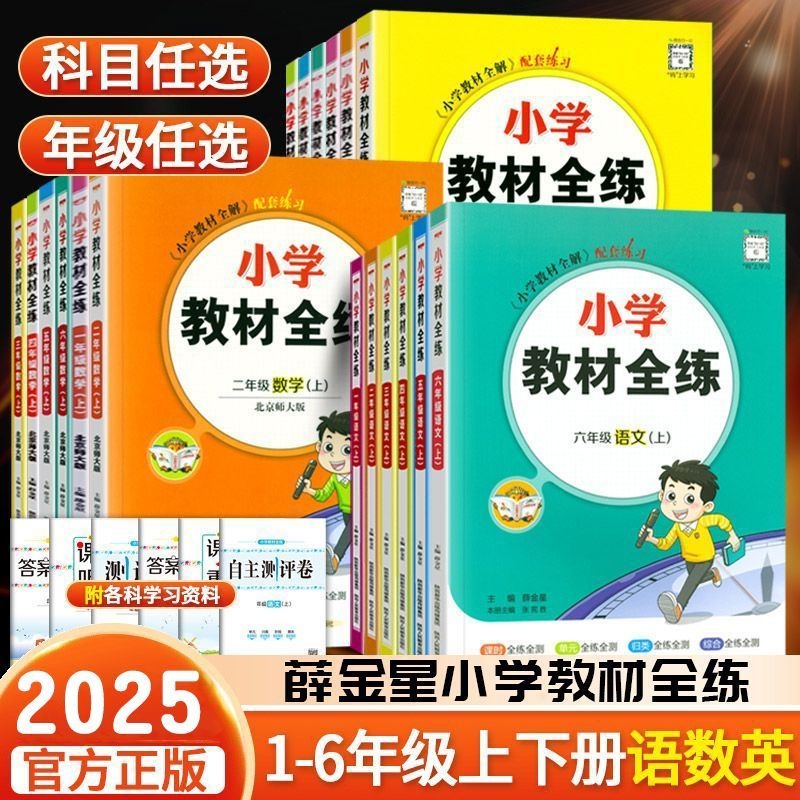 2024版薛金星小学教材全练