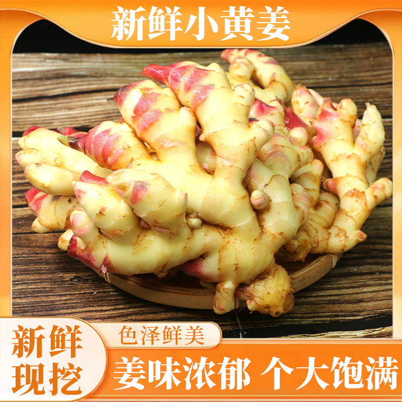 小黄姜正宗高山农家自种辛辣多汁生姜嫩姜小黄姜产地直发姜味浓郁