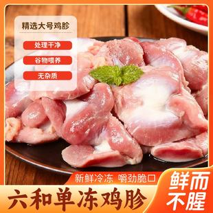 六和鸡肫鸡胗单冻新鲜冷冻干货鸡杂鸡内脏餐饮卤菜烧烤商用批发