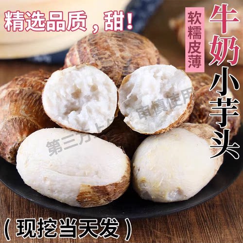 山东牛奶小芋头新鲜毛芋魔芋香芋甜糯当季糯芋头