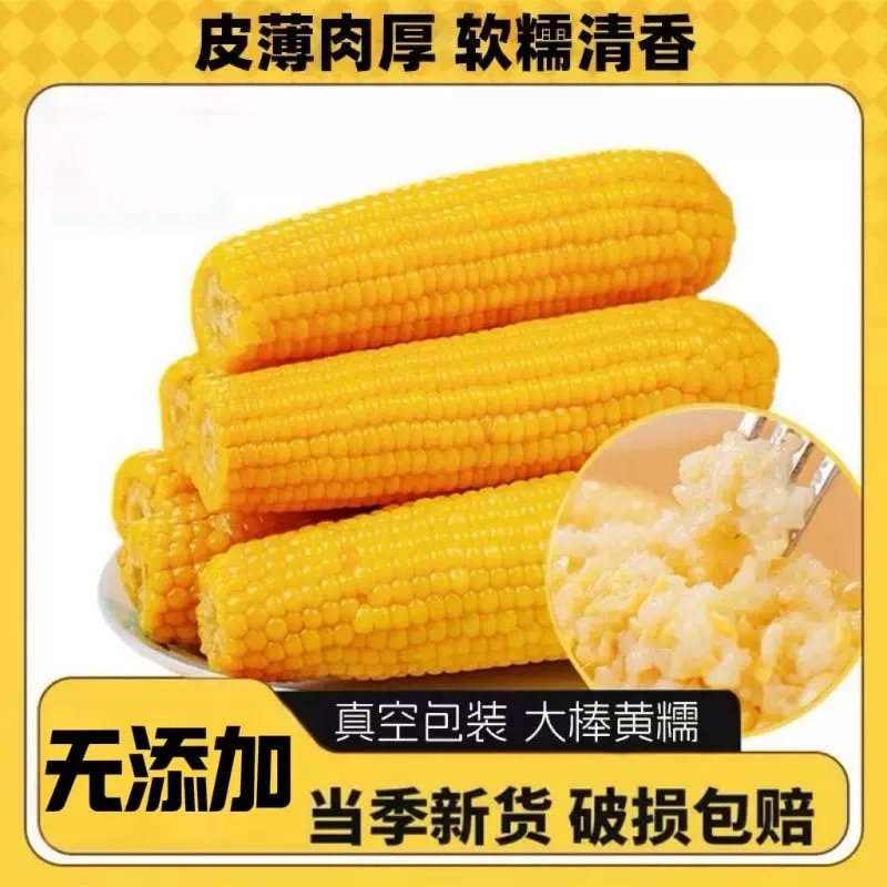 东北黄糯玉米真空包装甜玉米棒