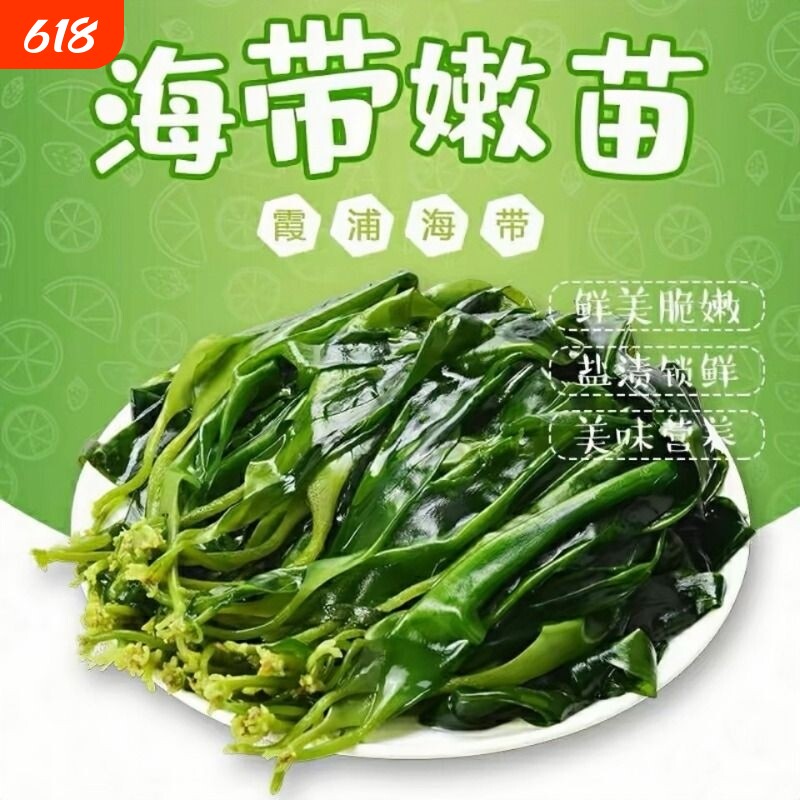 海带海带苗嫩特级新鲜裙带菜苗霞浦嫩盐渍凉拌菜火锅食材商用批发