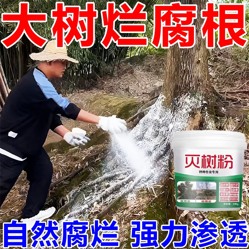 大树烂根强力枯树王腐烂树根