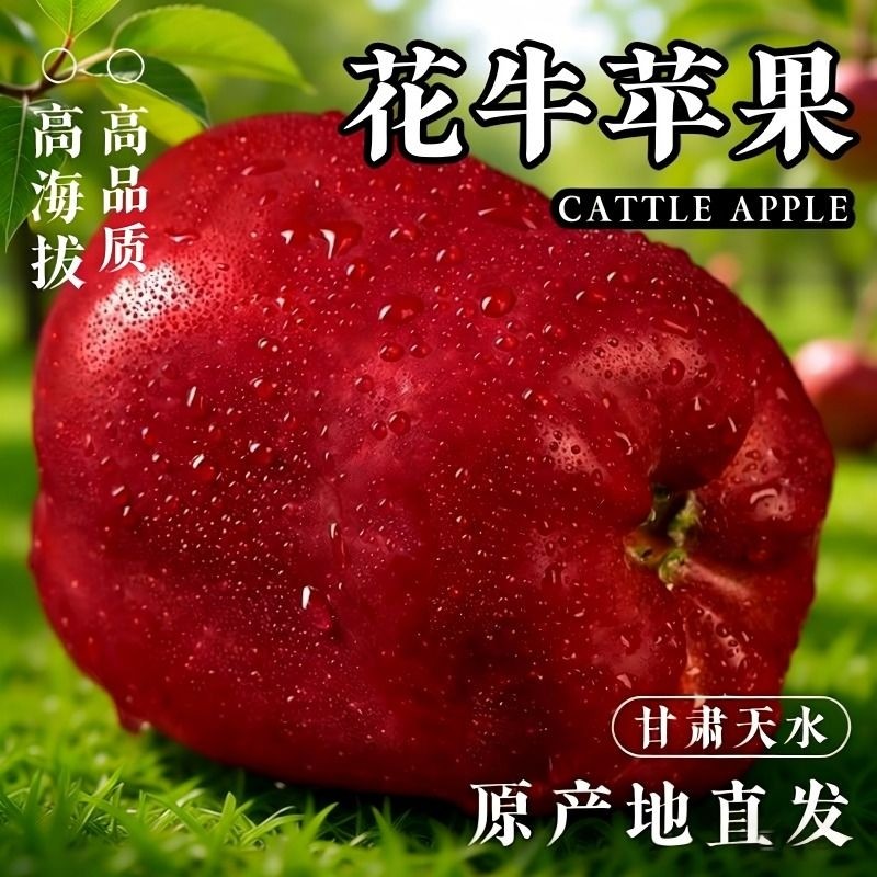 甘肃花牛苹果水果平果粉面丑果孕妇包邮应季高原新鲜水年货节天水,淘宝优惠券,粉丝福利购,淘宝优惠卷