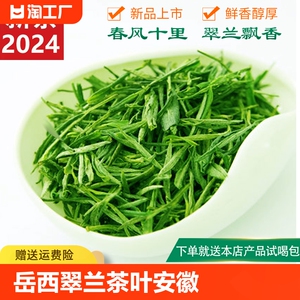 岳西翠兰茶叶安徽绿茶250g袋装2024雨前新茶春茶高山云雾茶叶包邮