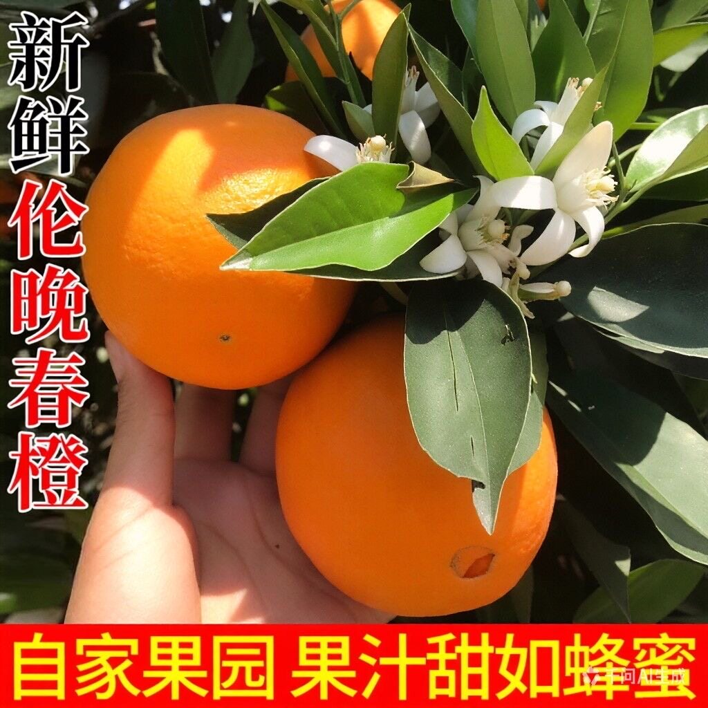 秭归脐橙伦晚脐橙当季新鲜橙子脐橙水果当季手剥橙子整箱包邮榨汁图片
