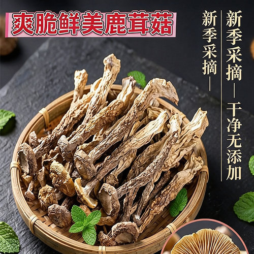 滋补云南农家鹿茸菇煲汤爆炒
