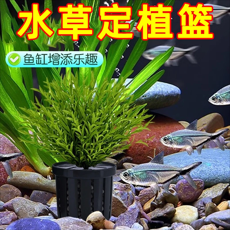 鱼缸水培植物篮家用水草种植水草泥沉底固定器种植造景装饰定植篮