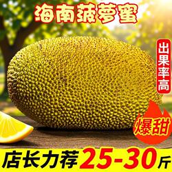 海南三亚黄肉菠萝蜜一整个干苞新鲜果现摘大果特产批发水果特产