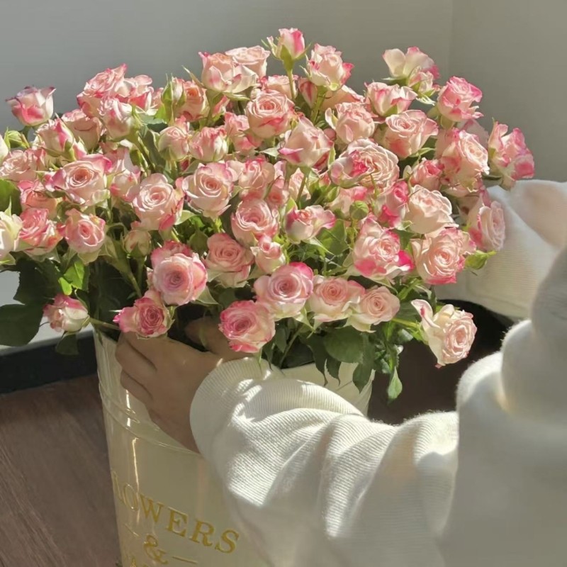 折射玫瑰花多头泡泡玫瑰鲜花云南基地直发鲜切花办公家用水培插花