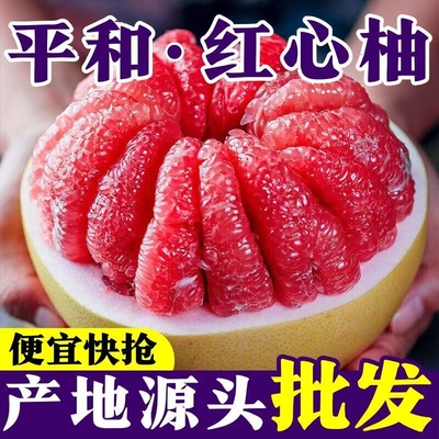 福建平和三红柚红心柚柚子新鲜水果当季特产孕妇水果皮薄肉厚现摘