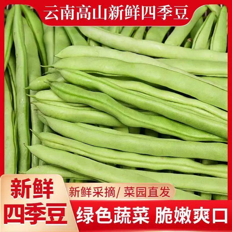 【新鲜蔬菜】云南高山四季豆新鲜现摘无筋豆豆角农家刀豆芸豆蔬菜