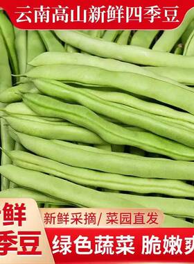 【新鲜蔬菜】云南高山四季豆新鲜现摘无筋豆豆角农家刀豆芸豆蔬菜