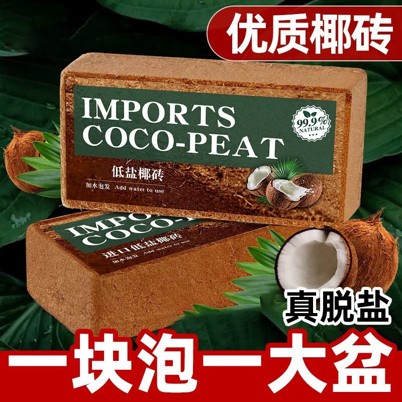 【七天内超万人加购】椰砖图片