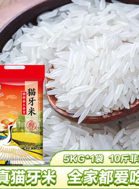 优质新米长粒大米猫牙香米非真空新鲜便宜晚稻正宗猫牙米家庭常选