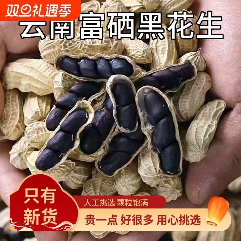 云南黑花生富硒普洱新货晒干花生米带壳黑皮花生坚果老品种新鲜