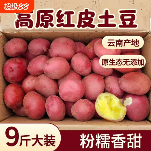 精选迷你小土豆新鲜9斤农家自种蔬菜现挖红皮小马铃薯小洋芋包邮