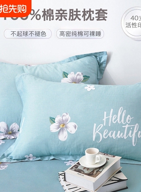纯棉枕套全棉枕头套一对装100棉家用40x60cm单个48cmx74cm新款