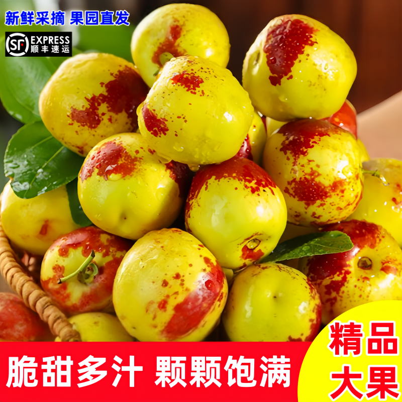 顺丰包邮正宗冬枣新鲜大果应季整箱枣子现摘脆枣冰糖大枣当季水果