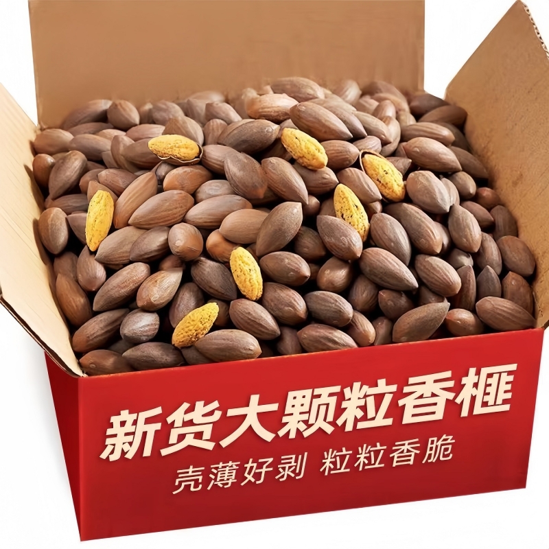 2025新货诸暨香榧子坚果500g含罐开口香榧干果250g大颗粒薄壳年货