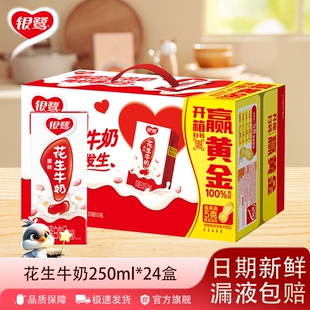 花生牛奶银鹭24盒复合蛋白饮品250ml*花生奶学生含乳饮料儿童奶