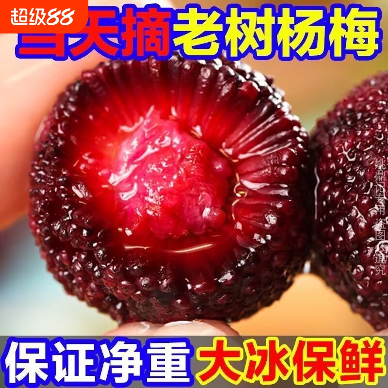正宗新鲜大杨梅鲜果当季孕妇新鲜水果礼盒装东魁整箱5斤