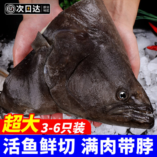 鸦片鱼头鲽鱼新鲜冷冻碟鱼头特大深海雅片蝶鱼比目鱼海鲜商用水产