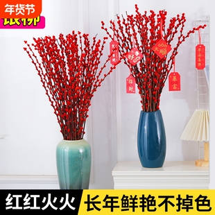 银柳鲜枝真花红柳水培干花客厅装饰摆件红色年宵花新年摆放冬季