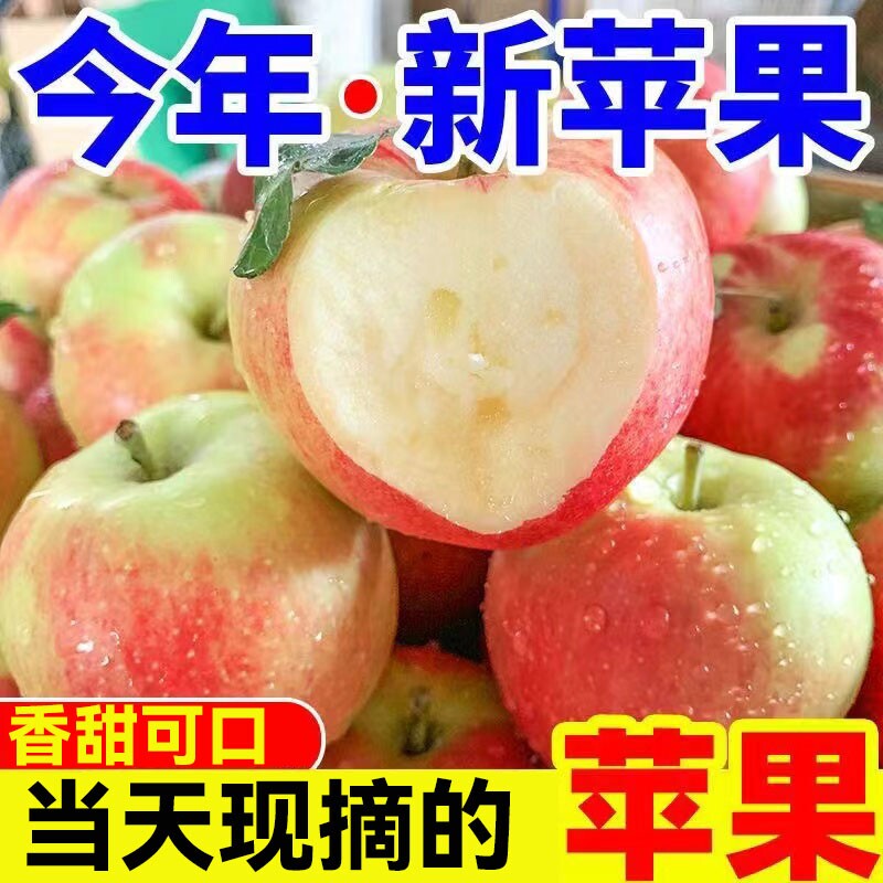 26年现摘嘎啦苹果新鲜水果当季早熟红富士甜脆丑平果5斤整箱包邮 - 实物图