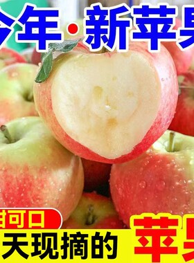 26年现摘嘎啦苹果新鲜水果当季早熟红富士甜脆丑平果5斤整箱包邮