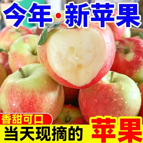 26年现摘嘎啦苹果新鲜水果当季早熟红富士甜脆丑平果5斤整箱包邮