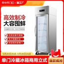 玻璃门牛羊肉冷冻柜风冷无霜保鲜柜 单门展示柜冷藏冰箱商用立式
