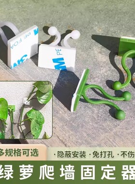 绿萝爬上墙花神器绿植固定器