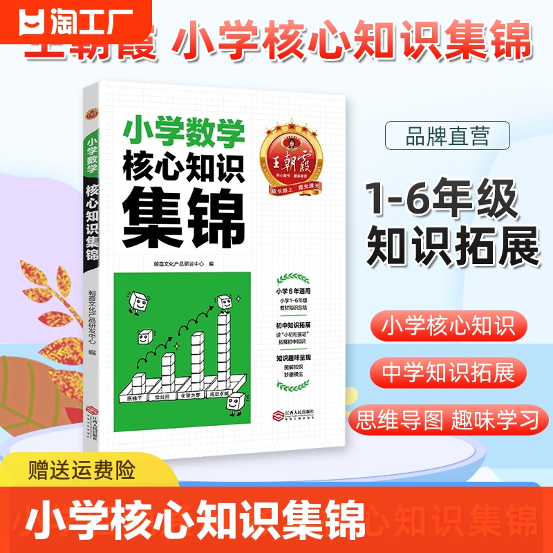 王朝霞小学数学核心知识集锦小学数学知识点汇总知识点大全王朝霞小升初试卷一二三四五六年级小升初考点初中衔接小学知识大全人教