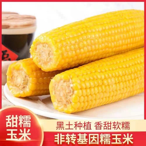 2025黑玉米8根装甜糯玉米鲜果饱满软糯香甜粗粮玉米黄黑绿色认证