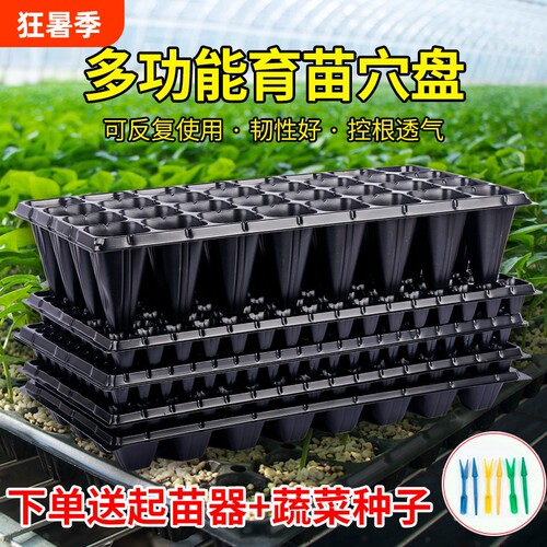 育苗盘穴盘辣椒西瓜培育育苗盆
