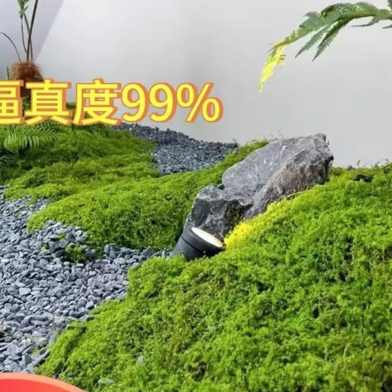 批发仿真苔藓草皮假青苔微景观背景墙草坪园艺盆景铺面绿化造景,鲜花速递/花卉仿真/绿植园艺,仿真绿植,淘宝优惠券,粉丝福利购,淘宝优惠卷