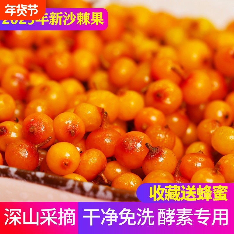 25新货山西特产吕梁新货精选新鲜沙棘果纯野酵素用榨汁多买优惠