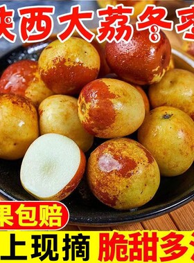 陕西正宗大荔冬枣新鲜水果时令冰糖脆枣超甜大果现摘整箱包邮5斤