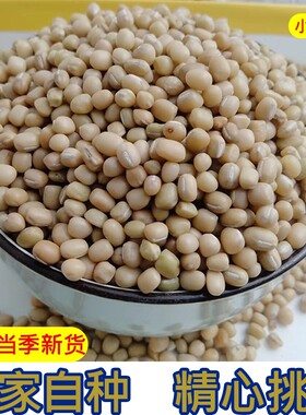 贵州小豆贵州特产豆米饭豆米豆新豆米小酸菜农家肥自种豆子新货