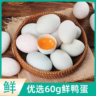 鲜鸭蛋60g新鲜鸭蛋生鸭蛋正宗鸭蛋农家鲜鸭蛋营养鸭蛋