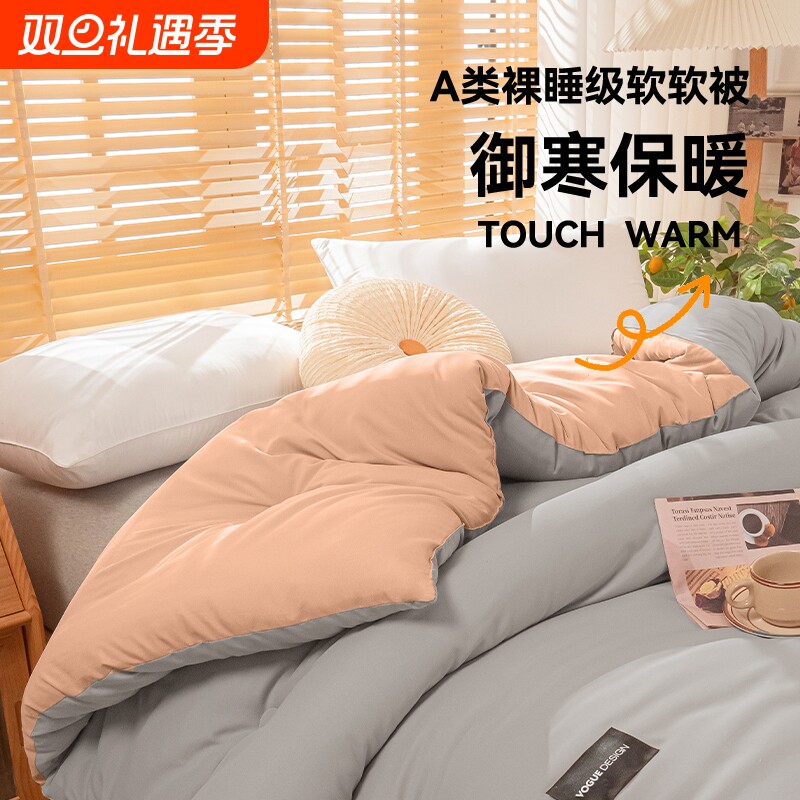 冬被加厚保暖棉被芯学生宿舍被褥免被罩2025新款双人软被四季通用
