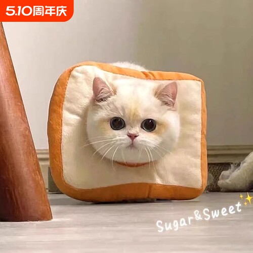 宠物达人推荐！小猫绝育柔软项圈