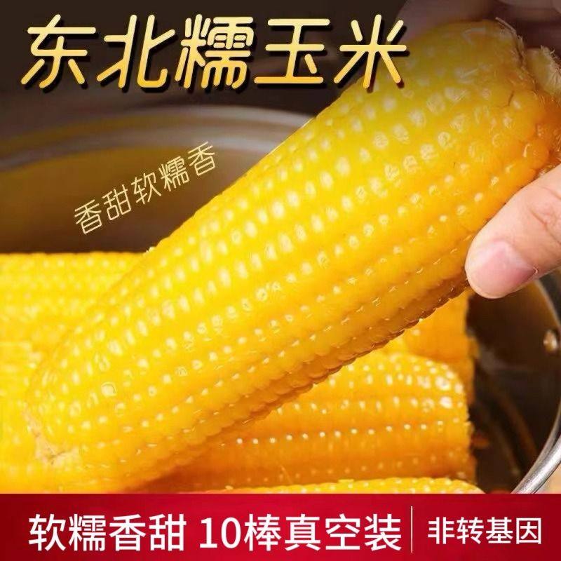 新鲜东北黄糯玉米棒新货真空装黄苞米现摘新鲜甜玉米粒粘粗粮代餐,粮油调味/速食/干货/烘焙,玉米,淘宝优惠券,粉丝福利购,淘宝优惠卷