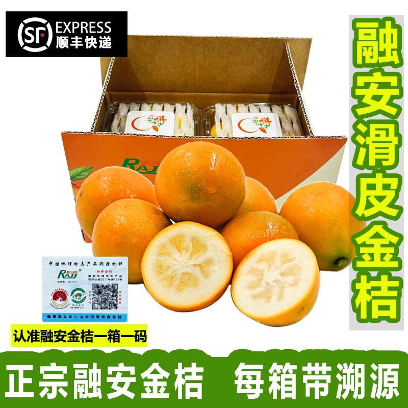 顺丰包邮广西融安金桔滑皮脆皮金桔中果3斤彩箱装 单果27-30mm+