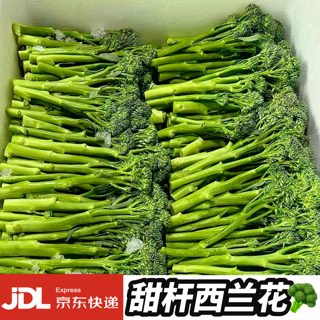 新鲜甜杆西蓝苔西蓝花笋苔芦笋西兰花苔菜苔蔬菜花菜苔 - 实物图
