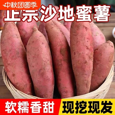 沙地黄心蜜薯红薯现挖现发地瓜山芋超甜板栗番薯粉糯软糯香甜可口