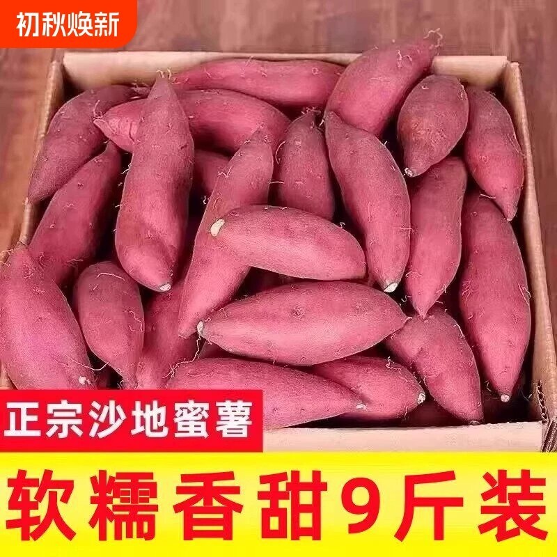 新鲜蜜薯小果装3斤|超5000次加购图片